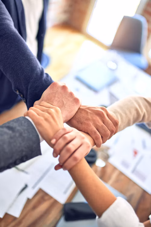 NGOs & Non-Profit Organizations